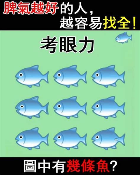 圖中有幾條魚|墨魚科